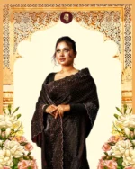 Indian Fendi silk Saree (Black)